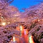 Image result for Akihabara Japan Nature
