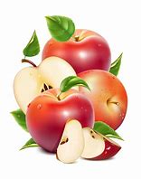 Image result for Apple Fruit Layout