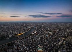 Image result for University of Tokyo Beauties Encyclopedia