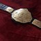 Image result for WWE World Heavyweight Championship Belt