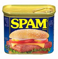 Image result for Spam Slices