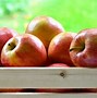 Image result for Cherry Gala Apple