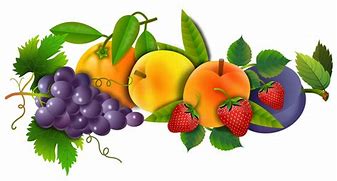 Image result for Hela Fruit GPO