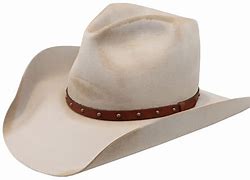 Image result for Pelican Hat