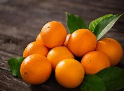 Image result for Bad Orange Fruit