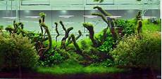 amano aquascape basic forms aqua rebell amano aquascape basic forms aqua rebell