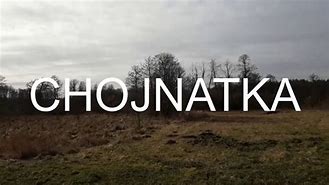 Image result for chojnatka