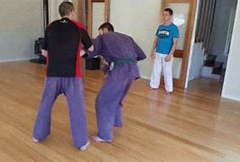 Image result for Standing Arm Bar