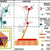 Image result for Motor Direct Drive System