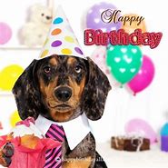Image result for Dog Birthday Wishes