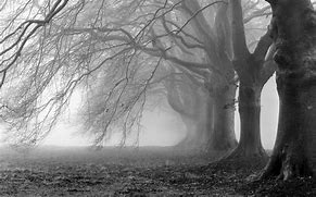 Image result for Scary Black and White Background