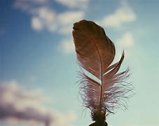 Image result for 4K Amazing Wallpaper Feather