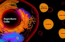 Image result for Cell Membrane Superhero