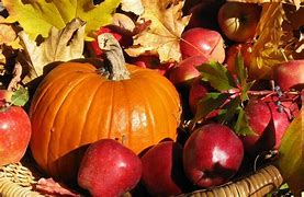 Image result for Fall Harvest Background