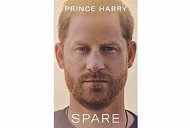 Image result for Book About Harry Spare