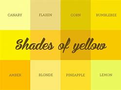 Image result for Different Colors of Yellow Paint