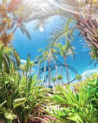 Image result for SeaWorld Gold Coast