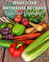 Image result for Difference Between Fruit and Vegetables