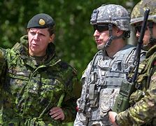 Image result for Canadian Forces Military Police