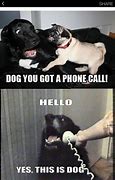 Image result for Dog Calling On a Phone Meme
