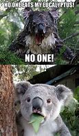 Image result for Wait What Meme Koala
