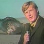 Image result for Exploding Beached Whale