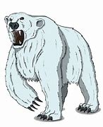 Image result for Polar Bear 5E