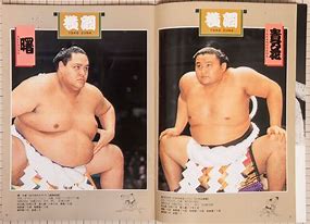 Image result for Akebono Musashimaru and Konishiki