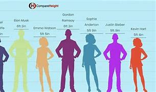 Image result for Actor Height Comparison