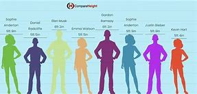Image result for 5'4 Compared to 5'8