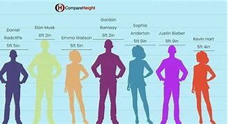 Image result for 6'4 Compared to 5'8
