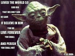 Image result for Funny Star Wars Day