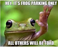 Image result for Funny Tree Frog Memes