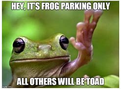 Image result for Instagram Frog Meme
