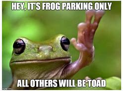 Image result for Fast Frog Meme