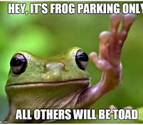 Image result for Frog Meme