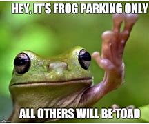 Image result for Going Crazy Meme with a Frog
