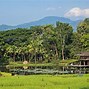 Image result for Four Seasons Chiang Mai