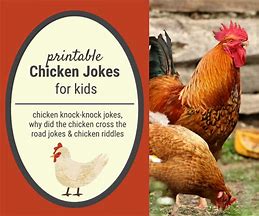 Image result for Joke Telling Chicken Toy