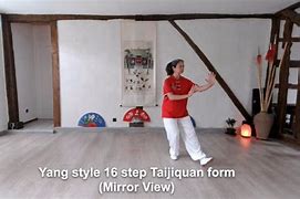 Image result for Tai Chi 16 Form Yang Style