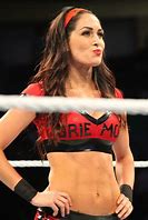 Image result for Bryan Danielson Brie Bella