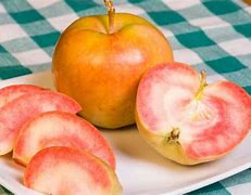 Image result for Pearl Apple