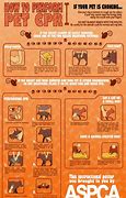 Image result for Recover CPR Chart Dog