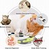 Image result for Good Toys for Cats