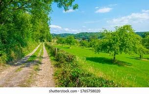 Image result for Rolling Green Hills Apple Orchard