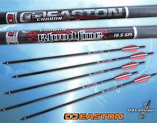Image result for Easton Bloodline Arrows