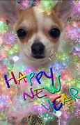 Image result for Happy New Year Chihuahua