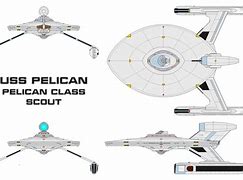 Image result for Pelican Scout