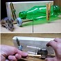 Image result for Homemade Rat Trap