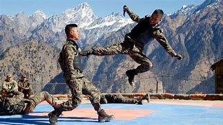 Image result for Indian Army Martial Arts